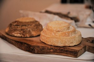 Seminario formaggio Montebore